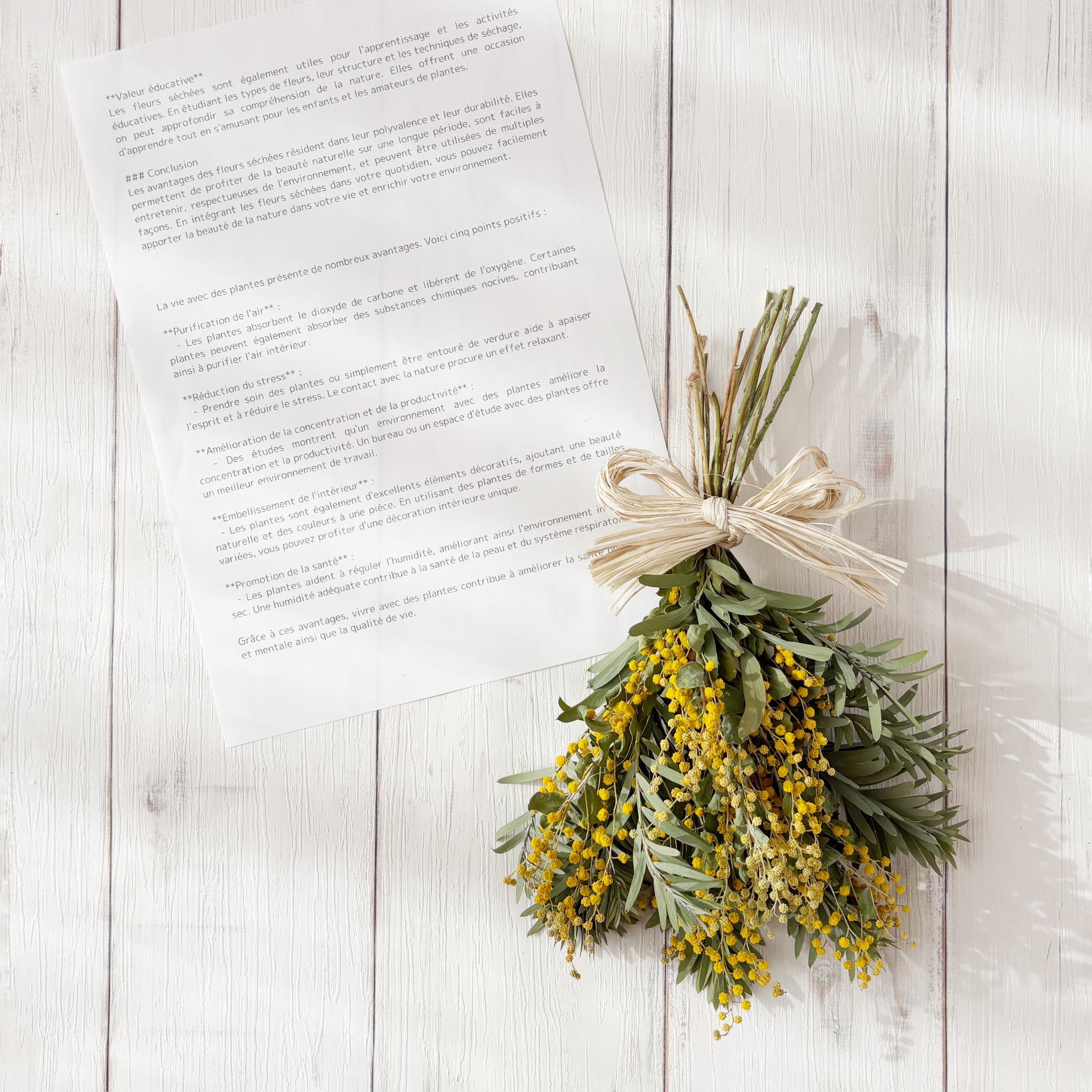 ミモザのナチュラルスワッグSサイズ｜おしゃれなドライフラワーの壁飾りをギフトにも♪ | 2枚目